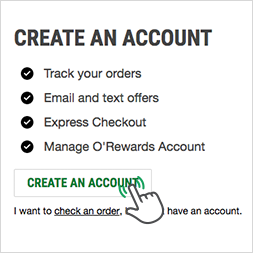 Create An Account 